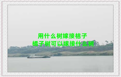 用什么树嫁接桔子 橘子树可以嫁接什么树